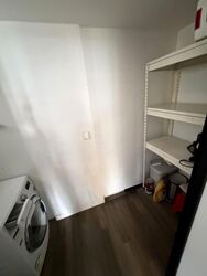 RiverParc Residence (D19), Condominium #612644701